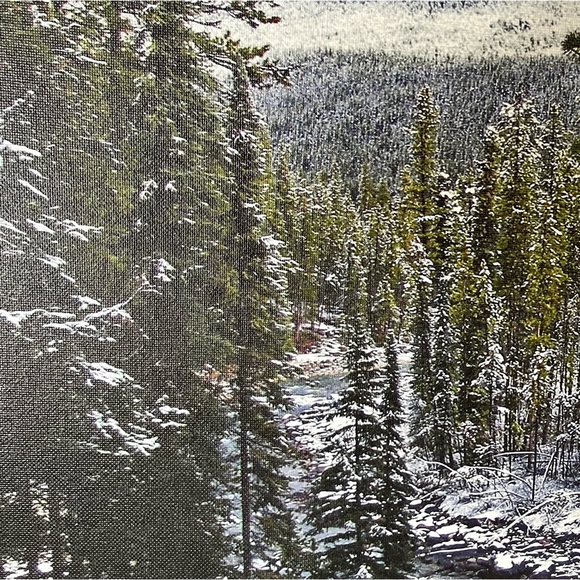 🍒Free Gift with 3+ items purchased🍒. Original Artist Photography on Canvas - Picture 5 of 9